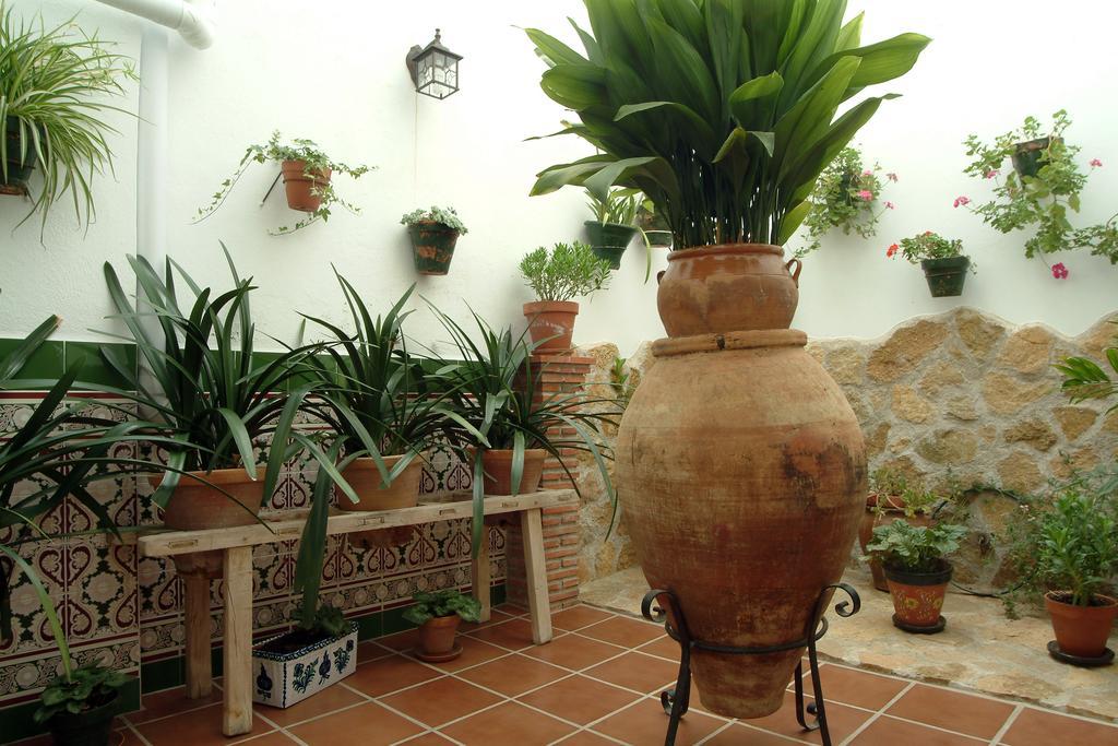Apartamentos Tío José María Hinojares Extérieur photo